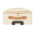 Pilot Case 40 Rolling Case, inside view